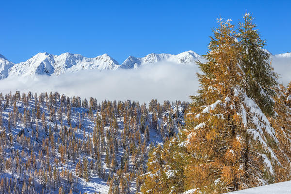 Orobie alps, Livrio valley, Lombardy, Italy