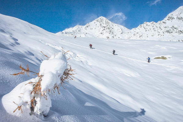 Ski mountanering on the Retiche alps, Lombardy, Italy