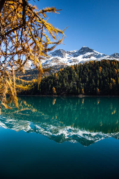 Switzerland, Engiadin at Champfer's lake