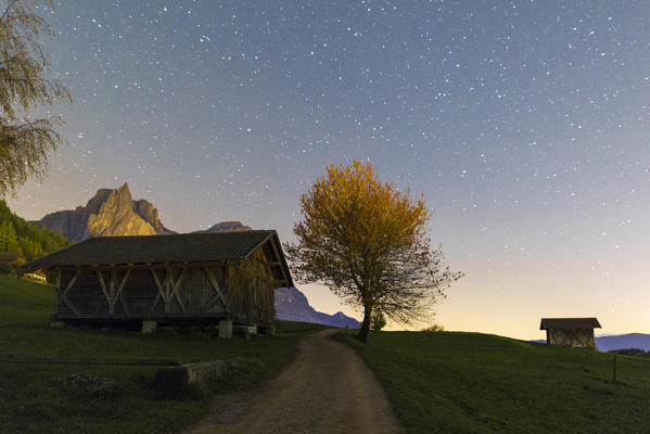 Starry sky on lone tree and hut, Castelrotto, Seiser Alm, Bolzano province, South Tyrol, Italy