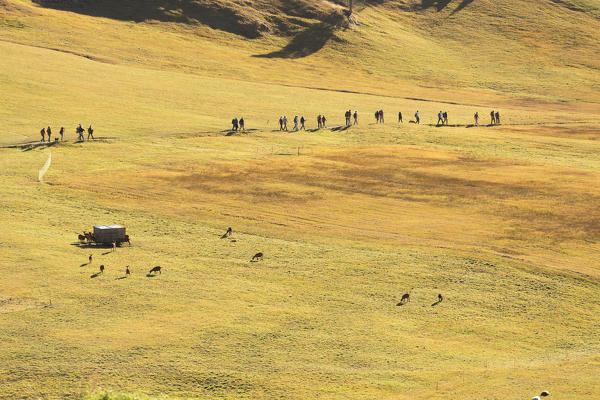 Hikers on footpath near Melago, Vallelunga, Venosta Valley, province of Bolzano, South Tyrol, Italy