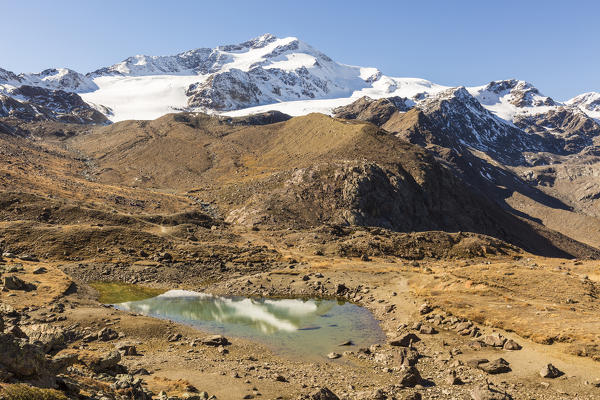 Zufallspitze reflected in water, Val Martello, Venosta Valley, province of Bolzano, South Tyrol, Italy