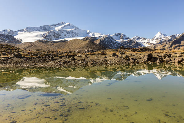 Zufallspitze reflected in the alpine lake, Val Martello, Venosta Valley, province of Bolzano, South Tyrol, Italy