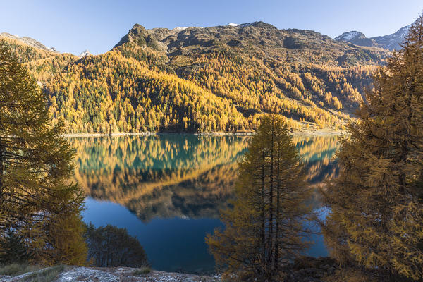 Lago di Gioveretto (Zufrittsee) during autumn, Val Martello, Venosta Valley, province of Bolzano, South Tyrol, Italy