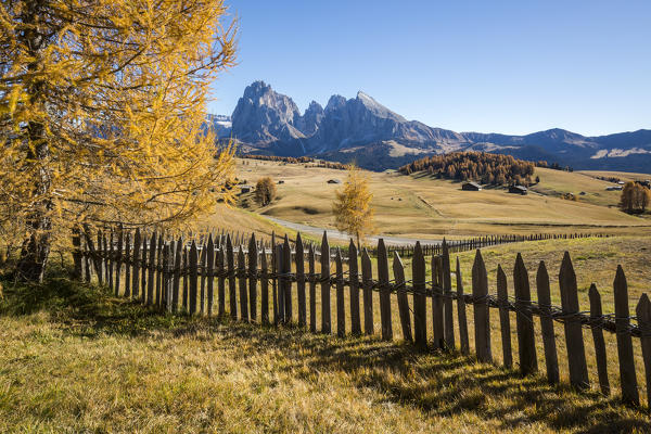 View of Sassolungo and Sassopiatto from Alpe di Siusi/Seiser Alm during autumn, Dolomites, province of Bolzano, South Tyrol, Italy