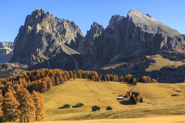 View of Sassolungo and Sassopiatto during autumn from Alpe di Siusi/Seiser Alm, Dolomites, province of Bolzano, South Tyrol, Italy