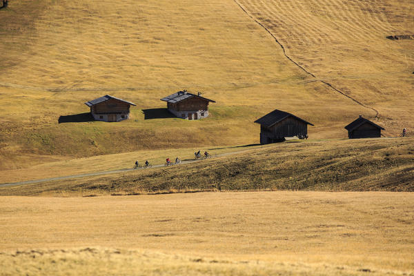 People on mountain bike during fall season, Alpe di Siusi/Seiser Alm, Dolomites, province of Bolzano, South Tyrol, Italy