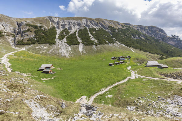 Fojedora alm, Val Foresta, Dolomites, province of Bolzano, South Tyrol, Italy