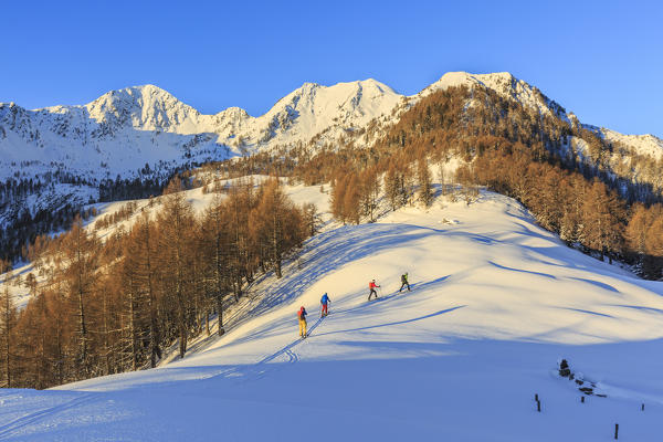 Ski mountaineers on snowy slopes of Monte Olano, Gerola Valley, Sondrio province, Valtellina, Lombardy, Italy