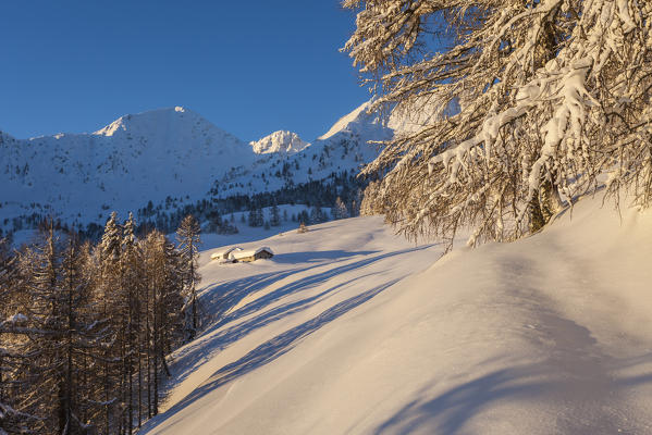 Sunrise on the snow covered Monte Olano, Gerola Valley, Sondrio province, Valtellina, Lombardy, Italy