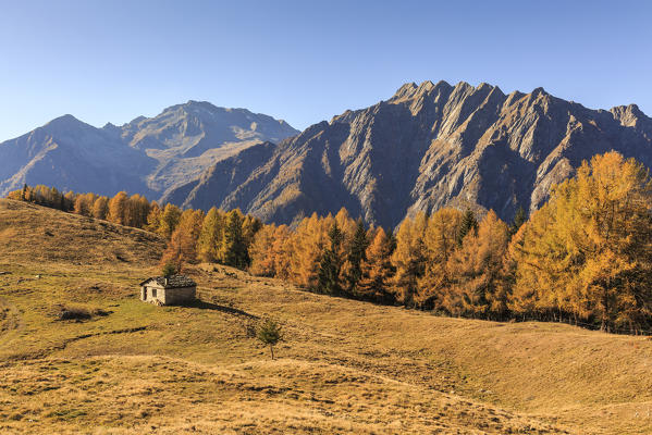 Alpine landscape in autumn at Alpe Granda, Valtellina, province of Sondrio, Lombardy, Italy
