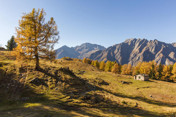 Alpine landscape in autumn at Alpe Granda, Valtellina, province of Sondrio, Lombardy, Italy