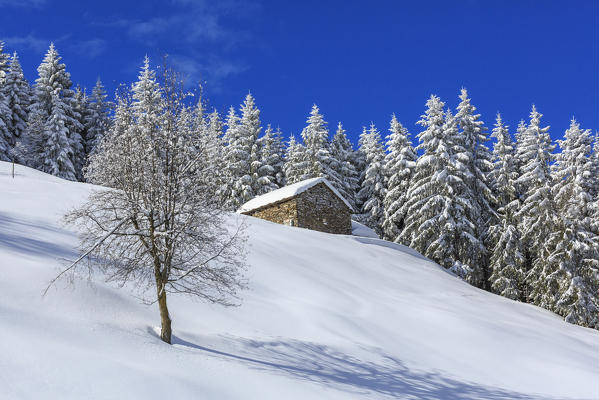 Stone hut in the snowy woods, Monte Olano, Valgerola, Valtellina, province of Sondrio, Lombardy, Italy