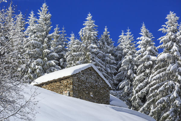 Stone hut in the snowy woods, Monte Olano, Valgerola, Valtellina, province of Sondrio, Lombardy, Italy