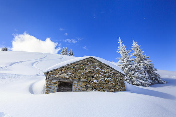 Stone hut in the snowy woods, Monte Olano, Valgerola, Valtellina, province of Sondrio, Lombardy, Italy