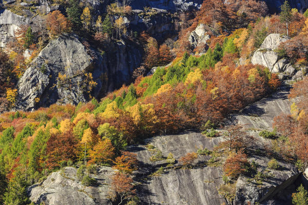 Colorful woods on slopes during autumn, Val di Mello, Val Masino, Sondrio province, Valtellina, Lombardy, Italy