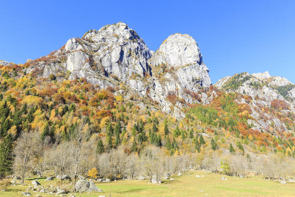 Autumnal colors around the rock wall of Precipizio degli Asteroidi, Val di Mello, Val Masino, Sondrio, Valtellina, Lombardy, Italy