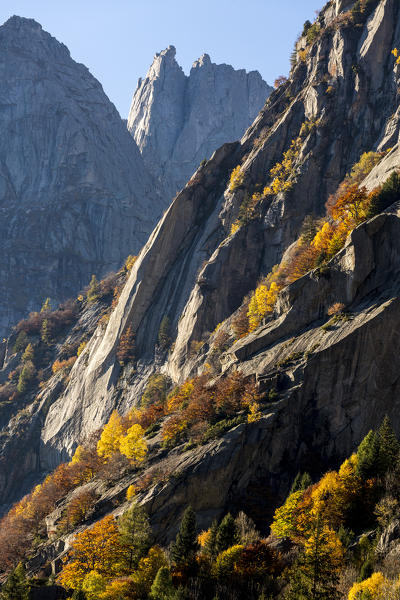 Colorful woods on the rocky slopes during autumn, Val di Mello, Val Masino, Sondrio province, Valtellina, Lombardy, Italy