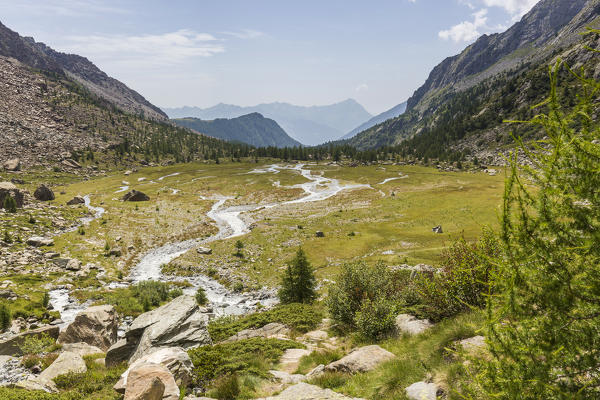 Creek flowing along the green meadows of Piana di Preda Rossa, Val Masino, Sondrio province, Valtellina, Lombardy, Italy