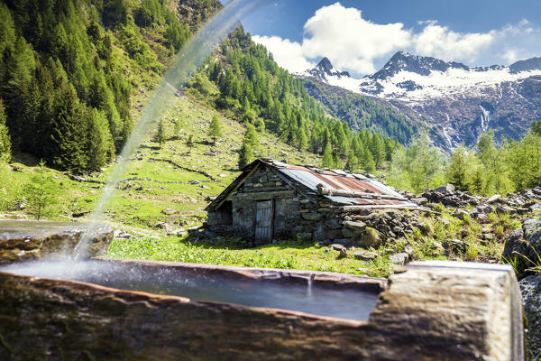 Wood fountain frames the green valley, Val Budria, Tartano Valley, Sondrio province, Valtellina, Lombardy, Italy