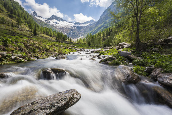 Flowing water of alpine creek, Val Budria, Tartano Valley, Sondrio province, Valtellina, Lombardy, Italy