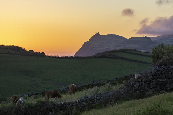 Sunset in the fields around Velas, Sao Jorge, Azores, Portugal, Western Europe