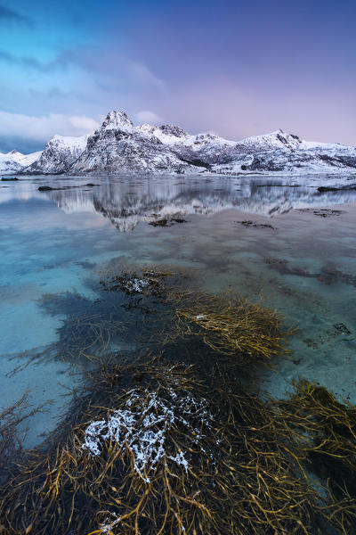 Dusk in a fjord near Flakstad, Flakstadoya, Nordland, Lofoten, Norway, Northern Europe