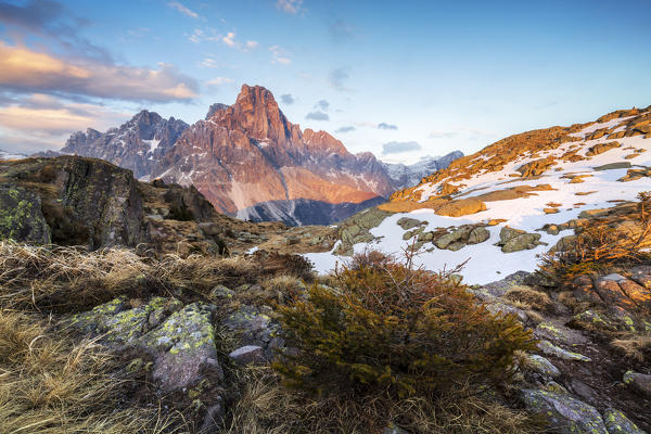 A view of Cimon della Pala from Cavallazza,  Passo Rolle, Trento, Trentino Alto Adige, Italy, Southern Europe
