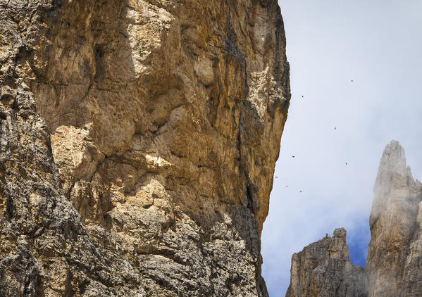A climber at Torri del Vajolet, Gruppo del Catinaccio, Dolomiti di Gardena, Bolzano, Trentino Alto Adige, Italy, Southern Europe