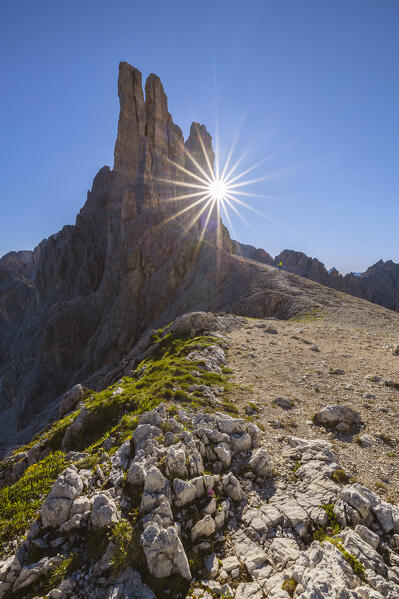 A man observes Vajolet Towers during summer at sunrise, Gruppo del Catinaccio, Dolomiti di Gardena, Bolzano, Tires, Trentino Alto Adige, Italy, Southern Europe