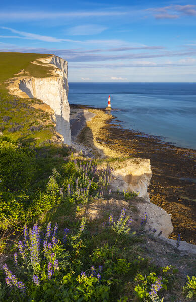 Sunset at Beachy Head lighthouse, Eastbourne, Beachy Head, East Sussex, United Kingdom, Northern Europe