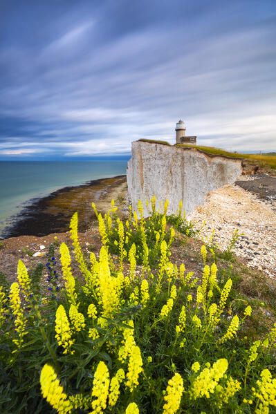 Sunrise at Belle Tout lighthouse, Eastbourne, Beachy Head, East Sussex, United Kingdom, Northern Europe
