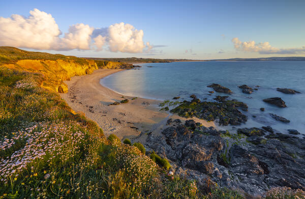 Upton Towans Beach at sunset, Godrevy, Cornwall, United Kingdom, Northern Europe