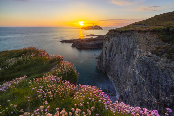 Godrevy lighthouse at sunset with flowers and cliffs, Godrevy island, Cornwall, United Kingdom, Northern Europe