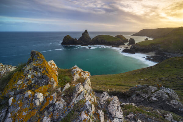 Kynance cove bay with its stacks at sunset, Lizard Peninsula, Cornwall, United Kingdom, Northern Europe