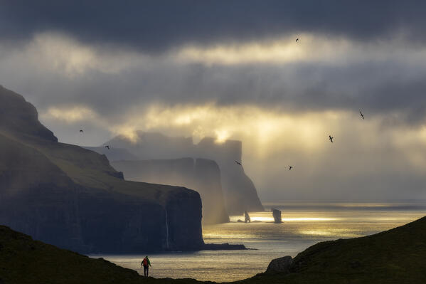 A trekker observes the scenic view in front of him from Kallur Lighthouse at sunset, Kalsoy, Faroe Islands, Denmark, Scandinavia (MR)