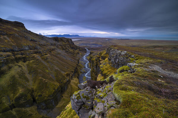 Mulagljufur canyon at sunset, southern Iceland, Iceland, Northern Europe