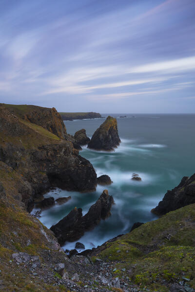 Kynance Cove and its stacks at blue hour, Lizrad Peninsula, Cornwall, United Kingdom, Northern Europe