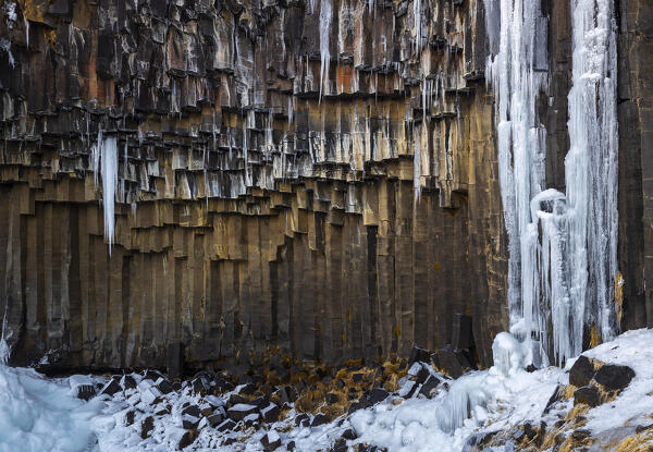 Svartifoss waterfall at sunset, Skaftafell National Park, Hornafjörður, Austurland, Iceland, Northern Europe