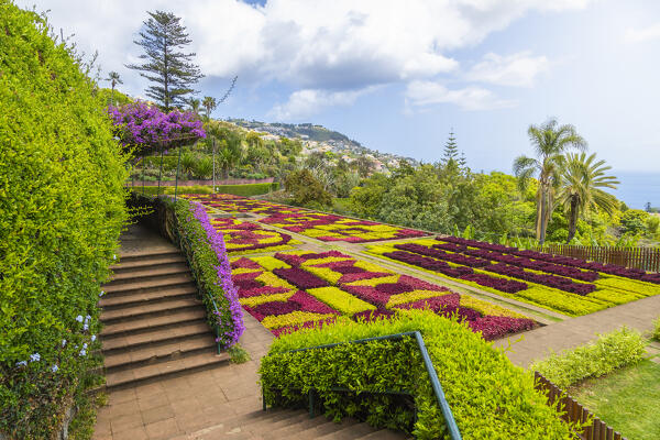 Botanical garden of Madeira, Santa Maria Maior, Funchal, Madeira island, Portugal, Europe