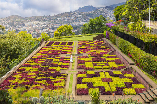 A woman walks inside the Botanical garden of Madeira, Santa Maria Maior, Funchal, Madeira island, Portugal, Europe