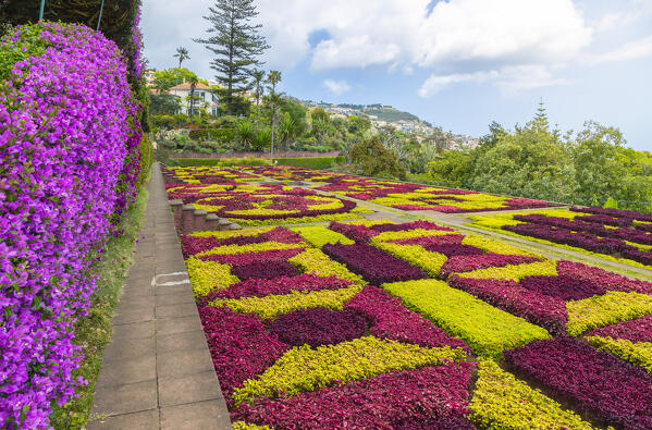 Botanical garden of Madeira, Santa Maria Maior, Funchal, Madeira island, Portugal, Europe