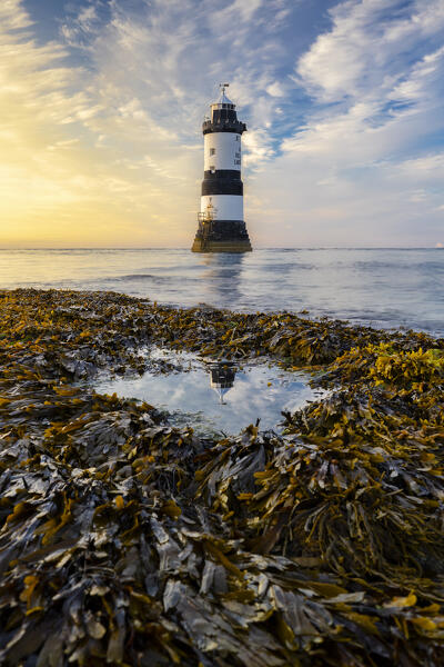 Trwyn Du Lighthouse at sunset, Llangoed, Gwynedd, Anglesey, Wales, Great Britain, United Kingdom