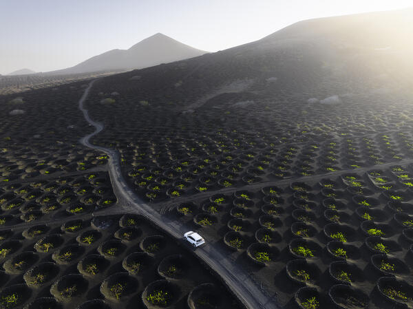 Aerial view of a car in the middle of vineyards at sunrise, La Geria, Las Palmas, Canary Islands, Macaronesia, Spain, Western Europe