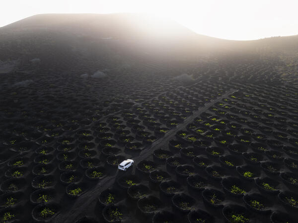 Aerial view of a car in the middle of vineyards at sunrise, La Geria, Las Palmas, Canary Islands, Macaronesia, Spain, Western Europe