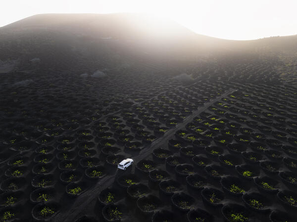 Aerial view of a car in the middle of vineyards at sunrise, La Geria, Las Palmas, Lanzarote, Canary Islands, Macaronesia, Spain, Western Europe