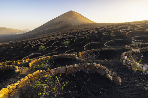 Vineyards at sunrise, La Geria, Las Palmas, Lanzarote, Canary Islands, Macaronesia, Spain, Western Europe