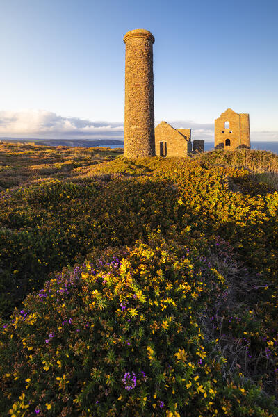 Wheal Coates and Chapel Port Mine during sunrise, Saint Agnes, Cornwall, England, Great Britain, United Kingdom