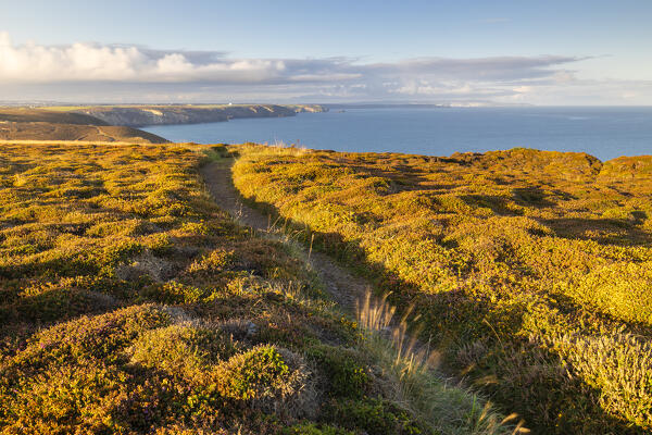 Wheal Coates coast during sunrise, Saint Agnes, Cornwall, England, Great Britain, United Kingdom