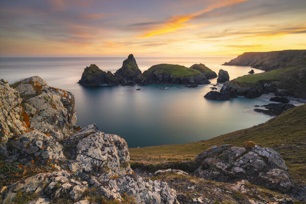 Kynance cove bay with its stacks at sunset, Lizard Peninsula, Cornwall, United Kingdom, Northern Europe